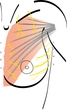 sein 04 guide